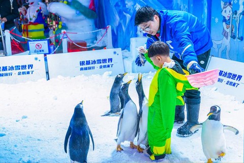迷你世界企鹅怎么喂[图2]