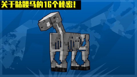 我的世界骷髅马装什么[图2]