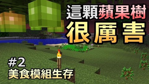 我的世界怎么种苹果树