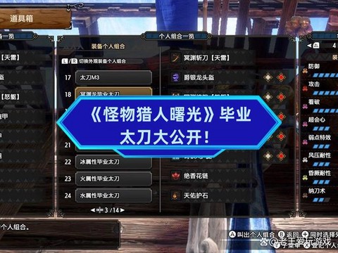 怪物猎人珠子怎么搭配[图2]