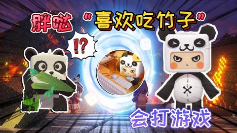 迷你世界怎么喂熊猫吃竹子