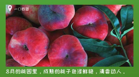大话西游水果怎么发