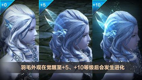 永恒纪元羽毛如何获得