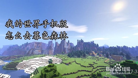 我的世界怎么去森林