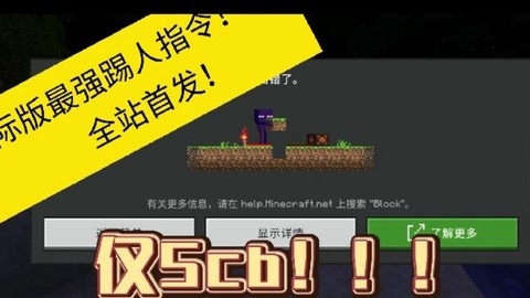 网易我的世界怎么踢人[图2]