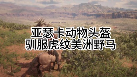 荒野大镖客怎么制服野马[图1]