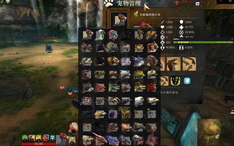 激战2游侠带什么宠物[图2]