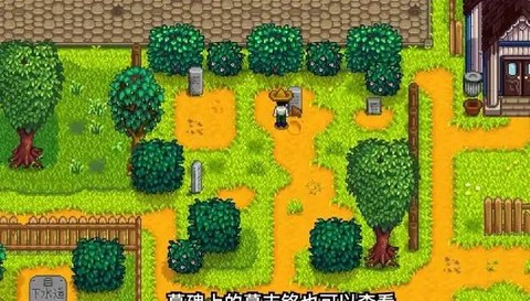星露谷物语如何看版本[图2]