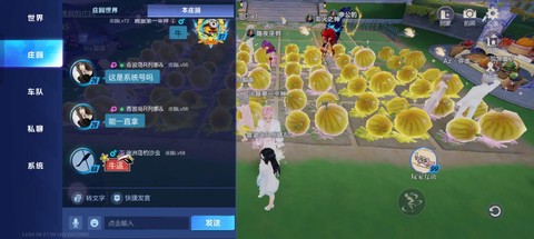 qq飞车买什么给西瓜[图2]