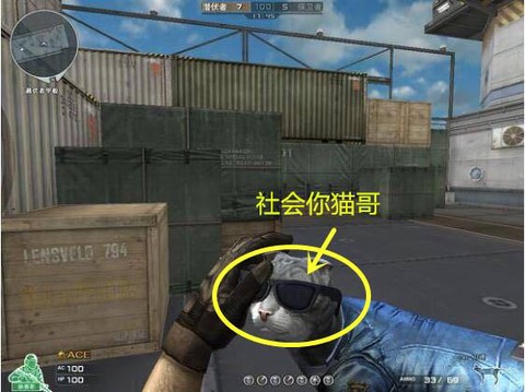 穿越火线猫枪怎么得