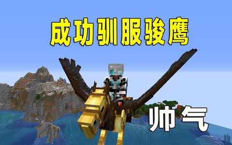 我的世界老鹰怎么驯服[图2]