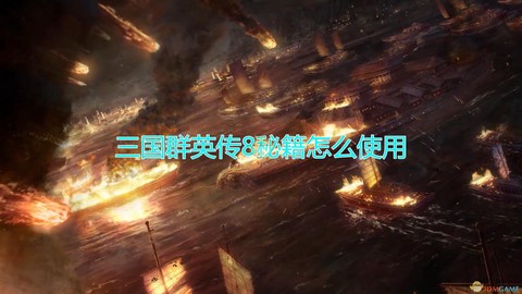 三国群英传8秘籍怎么用[图1]