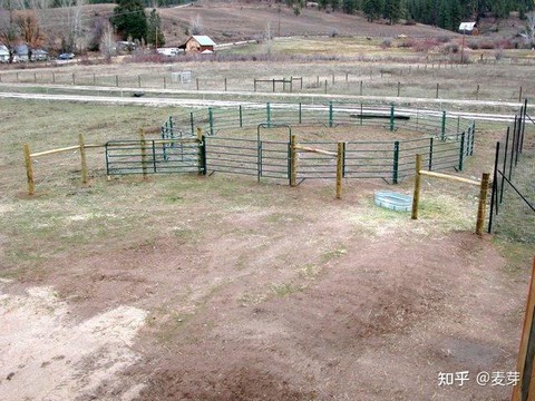 荒野大镖客笼子怎么开
