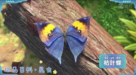 迷你世界枯叶有什么用