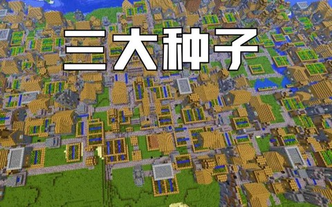 我的世界什么种子有城市[图2]