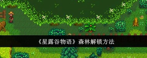 星露谷物语怎么解锁