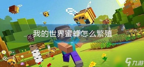 我的世界蜜蜂怎么养