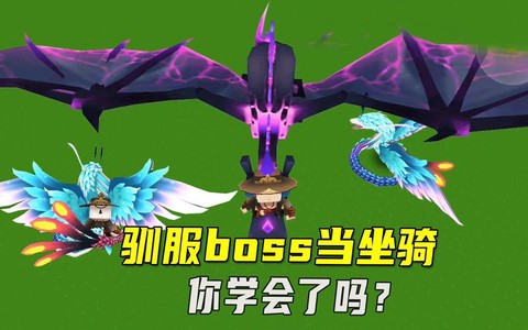怎么驯服龙迷你世界