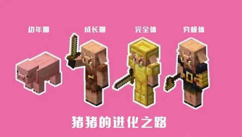 我的世界蜘蛛猪怎么搞
