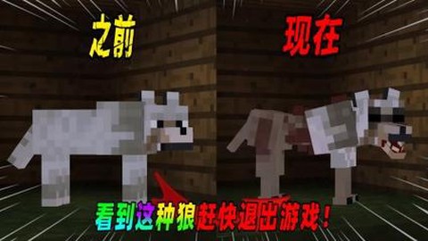 我的世界如何驯服狼