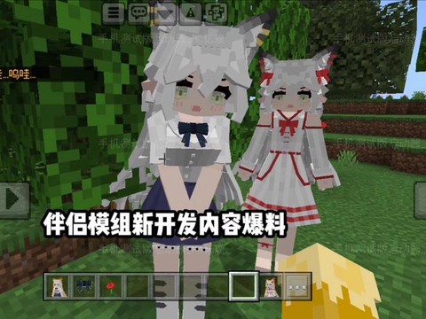 我的世界怎么有老婆[图2]
