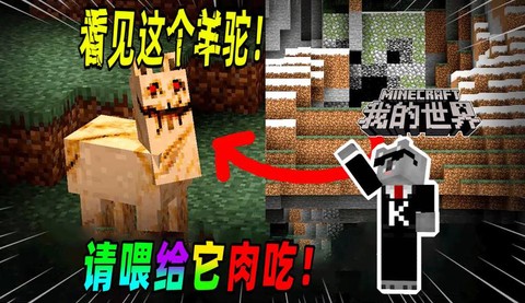 我的世界羊骆吃什么[图1]