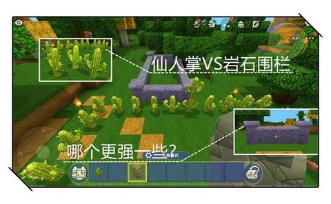 迷你世界仙人掌怎么种