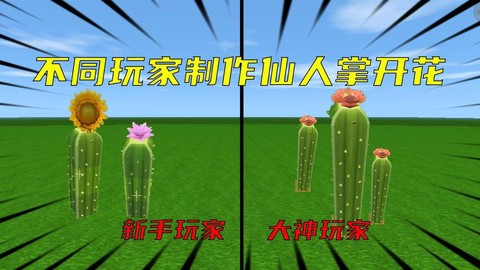 迷你世界仙人掌怎么种[图2]