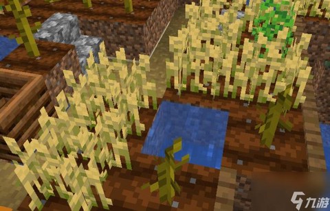 我的世界怎么种植小麦[图2]