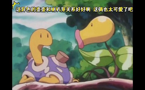 神奇宝贝壶壶怎么玩