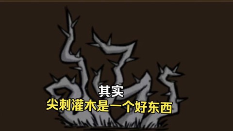 饥荒尖刺灌木有什么用[图1]