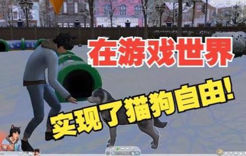 模拟人生4怎么养猫狗[图1]