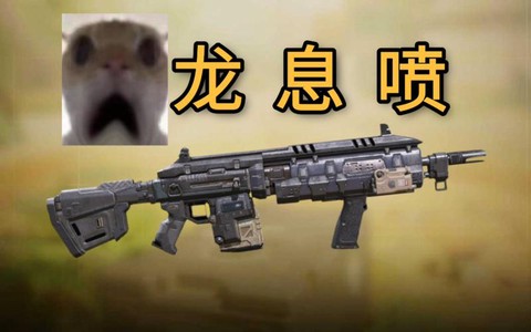绝地求生什么喷子好用