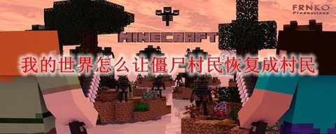 我的世界怎么控制村民[图2]
