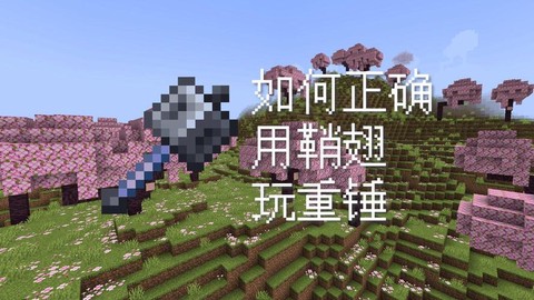 我的世界销翅怎么用[图2]