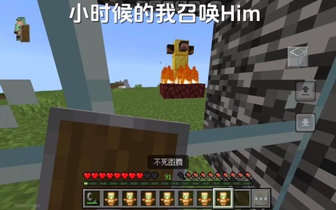 我的世界什么是him