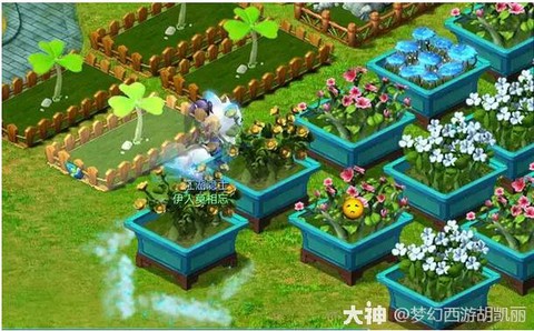 大话2种植什么赚钱