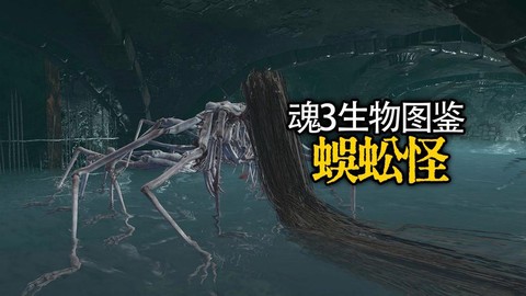黑魂3水桶号什么意思