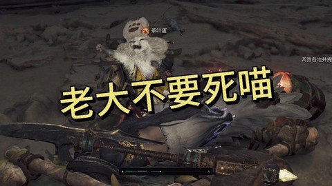 怪物猎人怎么不带猫[图1]