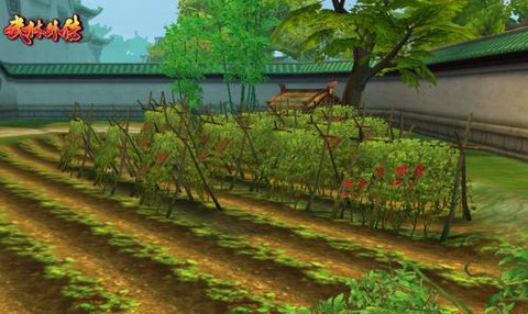 武林外传菜地怎么完[图2]