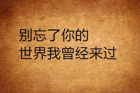 你的世界我来过是什么意思