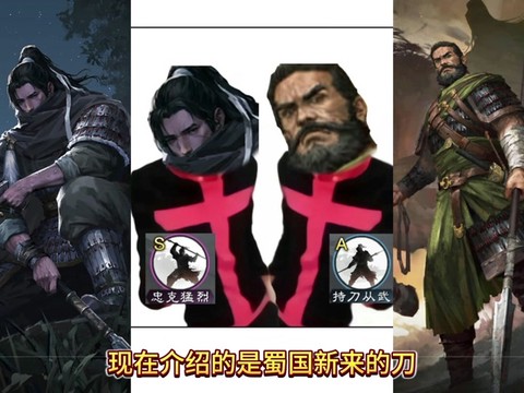 率土之滨张郃怎么样