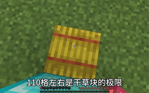 我的世界干草块有什么用[图1]