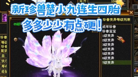 天龙八部85带什么宝宝