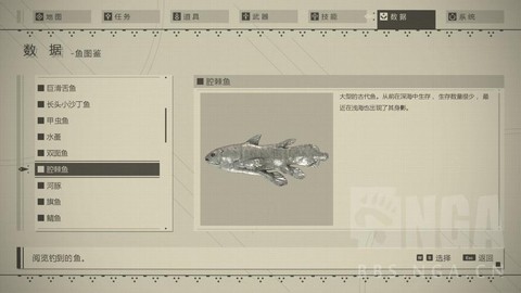 尼尔机械纪元怎么钓鱼[图1]
