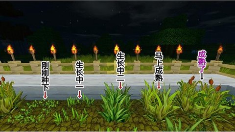 迷你世界怎么弄泥土