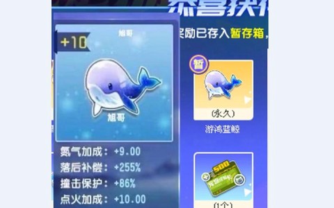 qq飞车宠物怎么卡