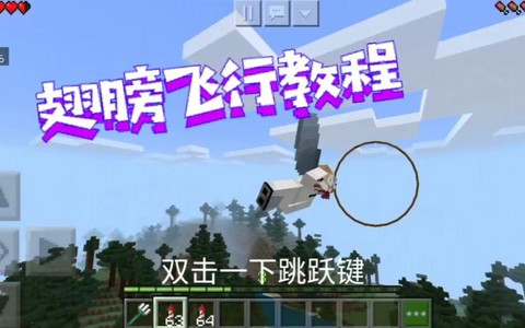 我的世界手机版怎么飞[图1]