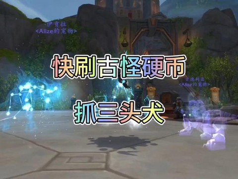 魔兽古怪硬币能换什么