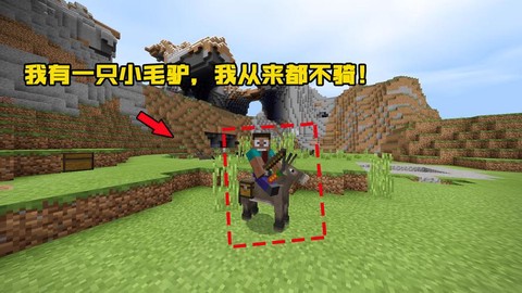 我的世界什么动物能骑